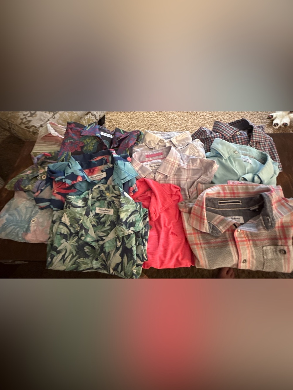 Tommy Bahama The San Lucio Stretch Men's Printed Button-Down small lot 11